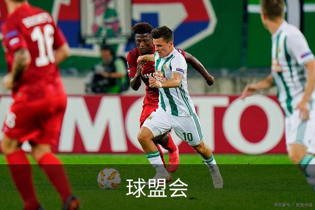 球盟会公司环境与团队